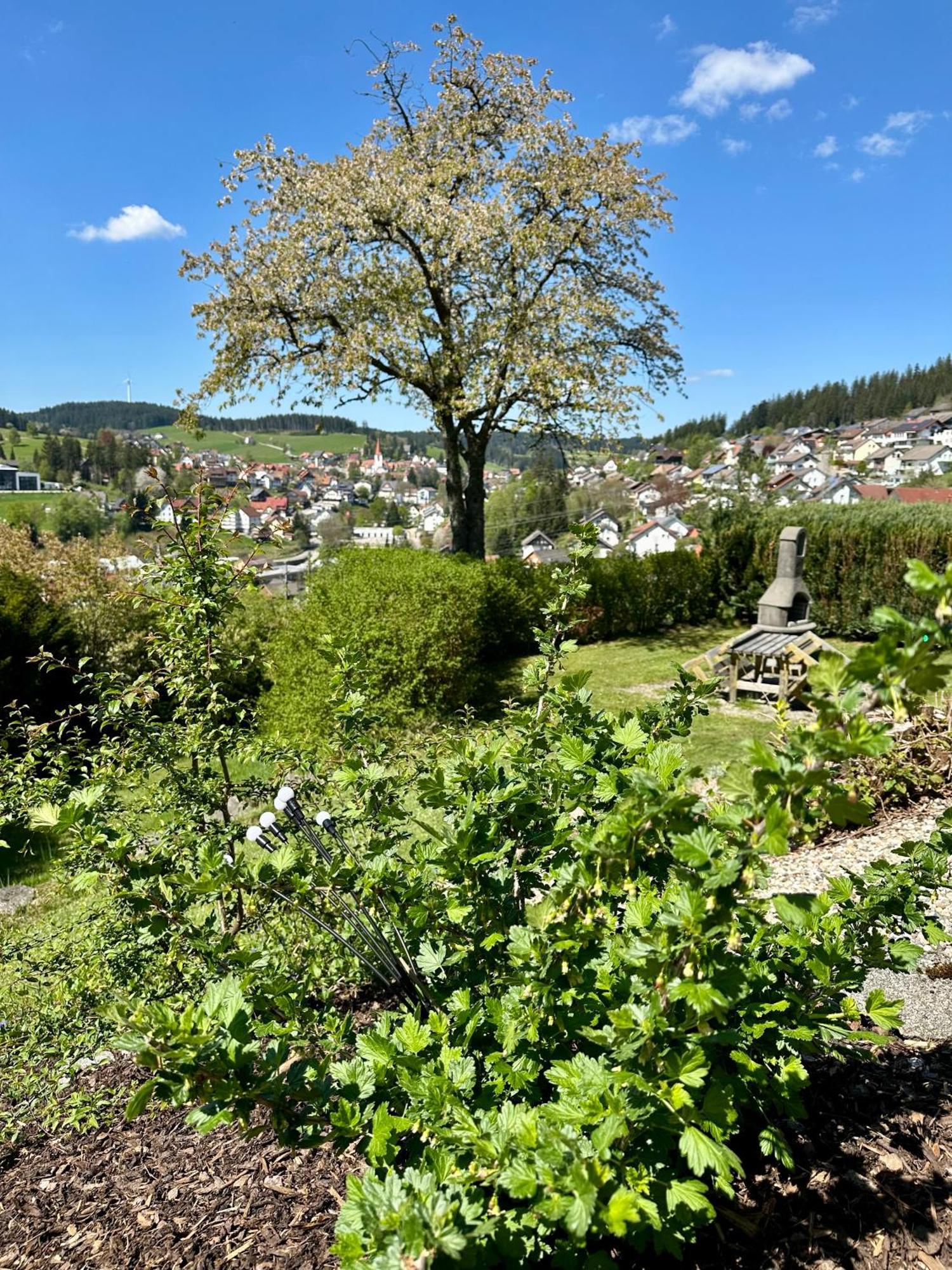 Sonneck Schonach Apartamento Schonach im Schwarzwald Exterior foto