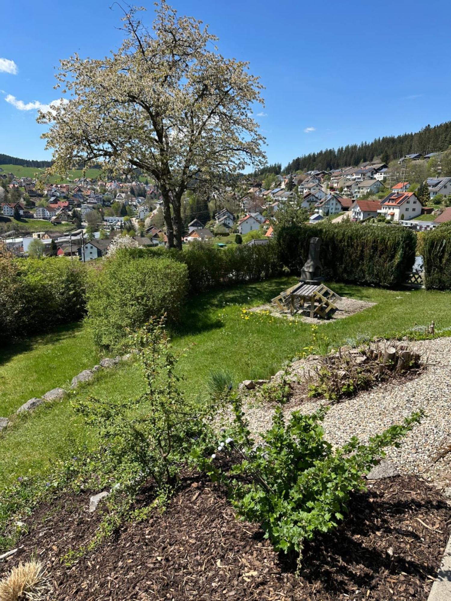 Sonneck Schonach Apartamento Schonach im Schwarzwald Exterior foto
